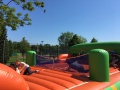 IMG_8308 IMG_8308